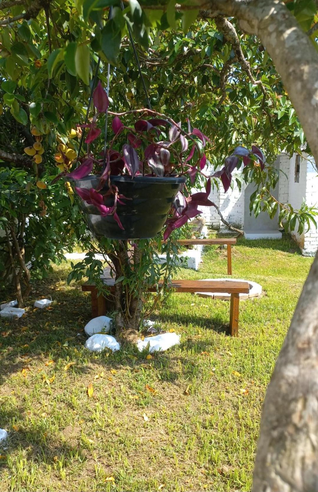 Casinha Verde Passa Quatro Exterior foto